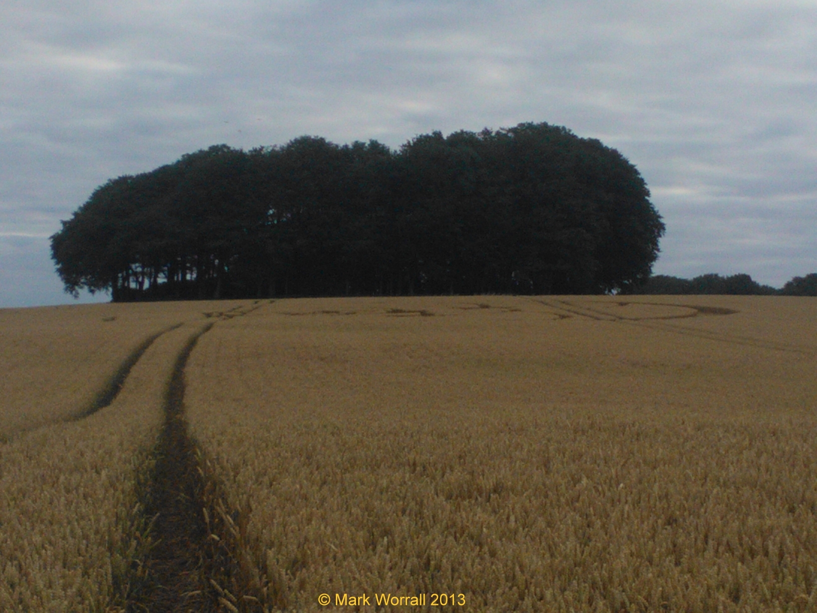 Hackpen Hill Crop Circle 10 Aug 2013