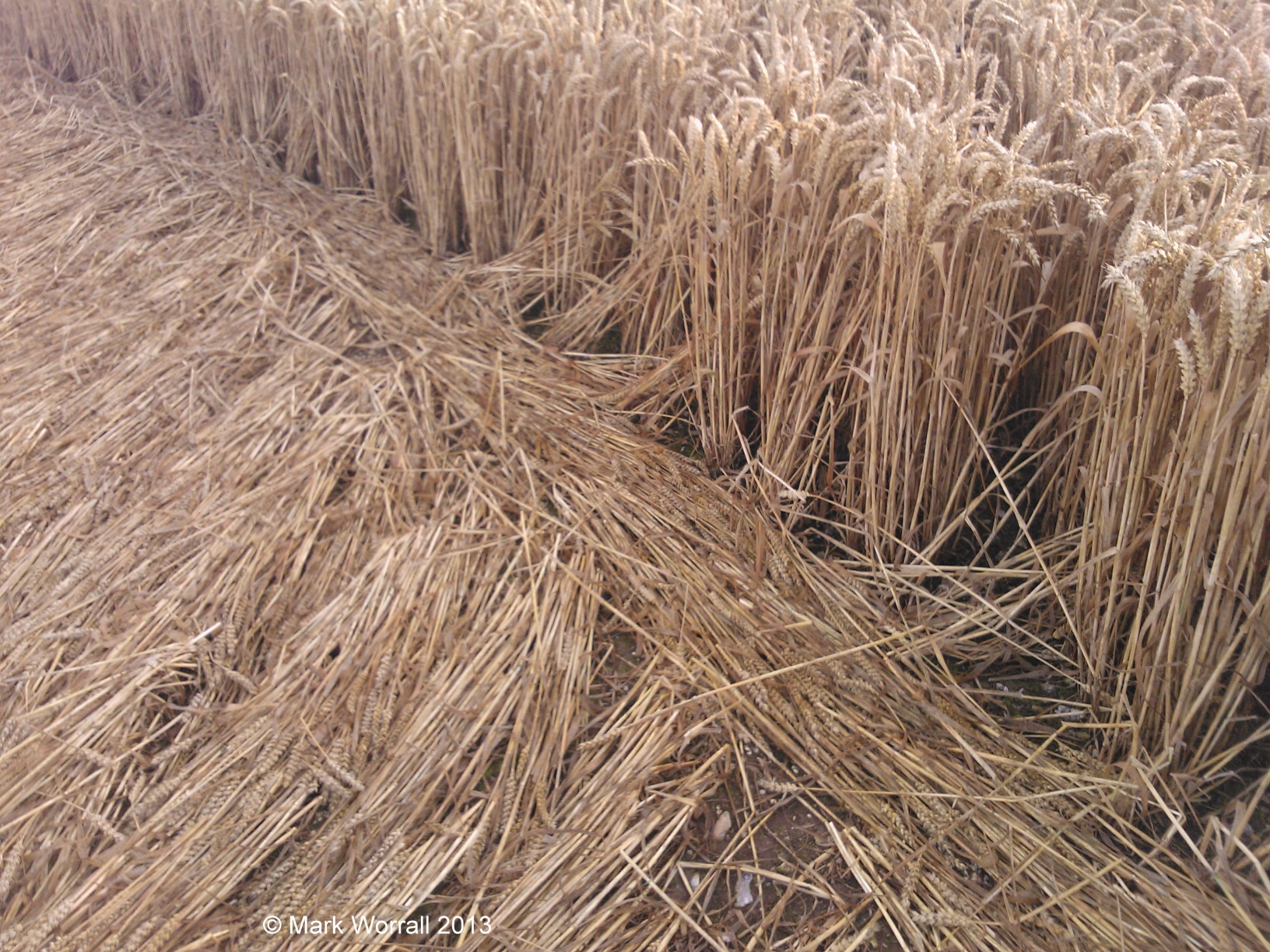 Tidcombe Crop Circle