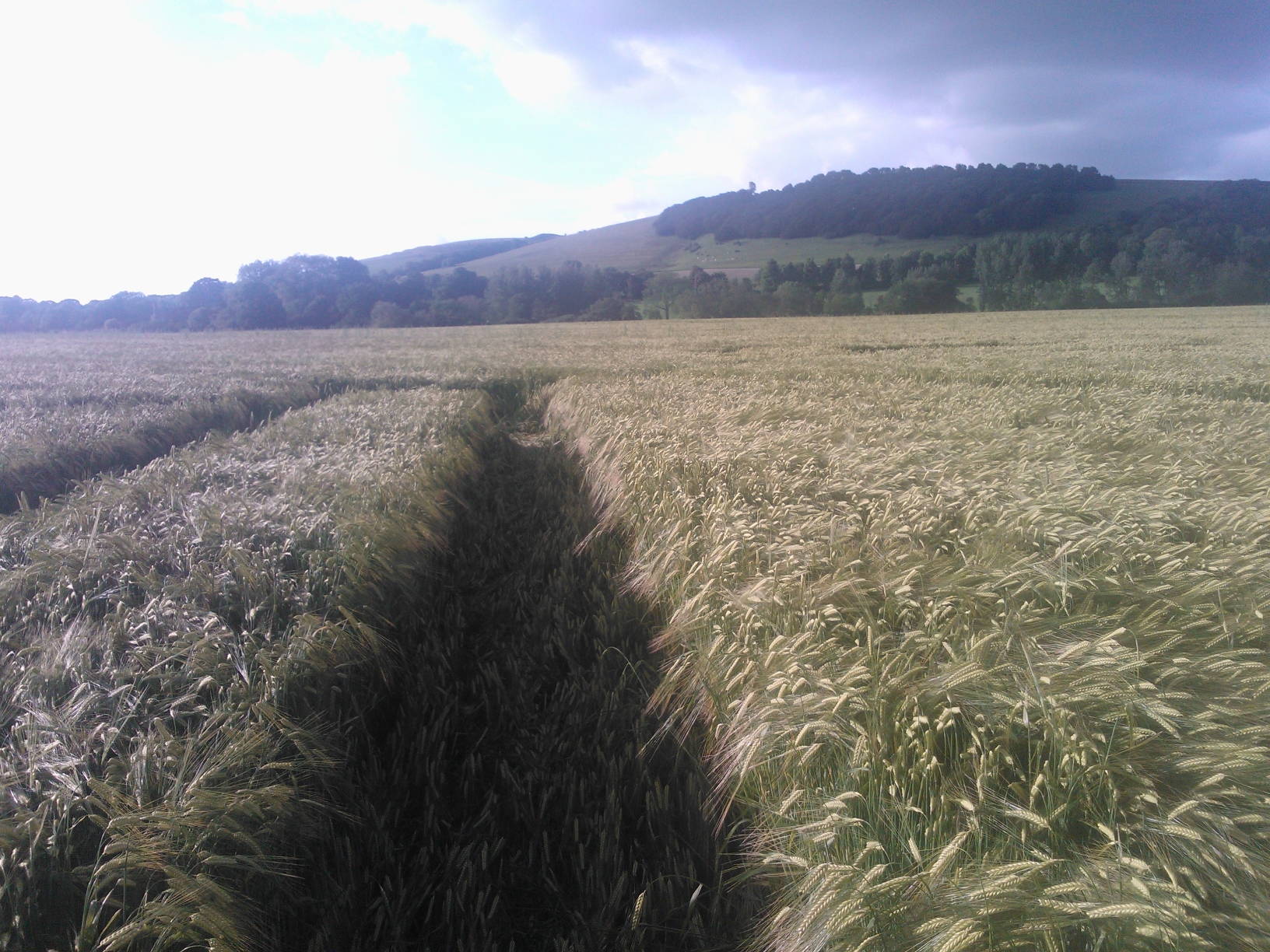 Hod Hill Crop Circle