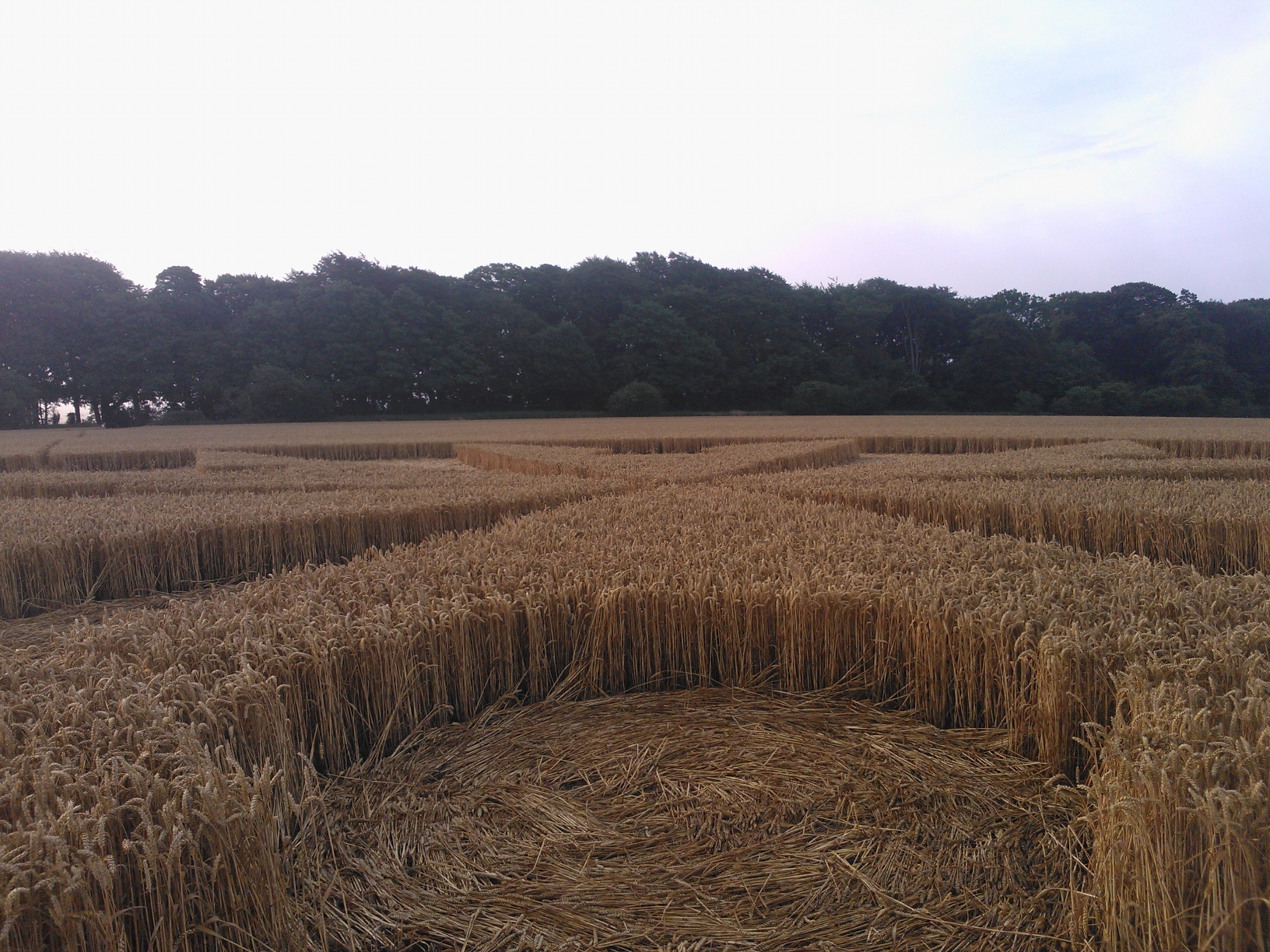 Tidcombe Crop Circle