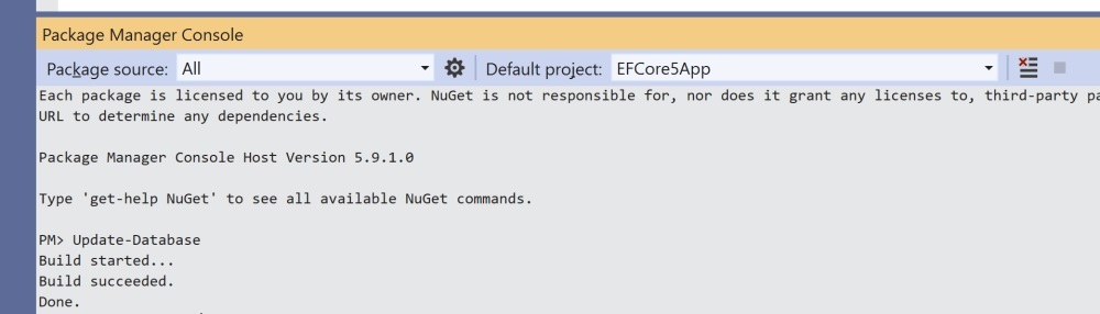 EF Core 5.0 name web app