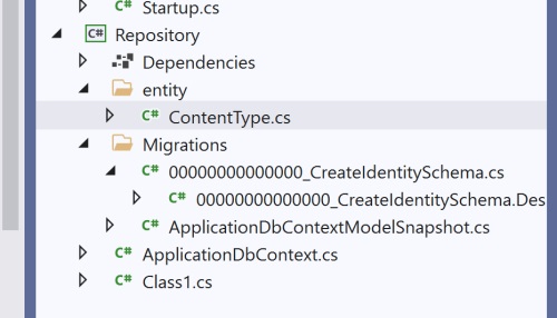 EF Core 5.0 name web app